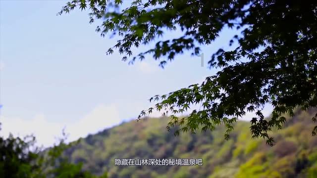 拯救精灵的土地5
